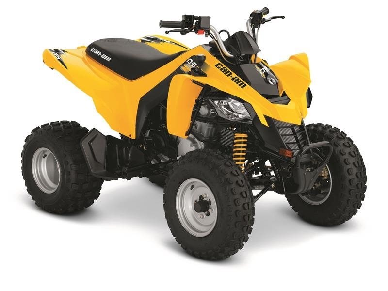 2016 Can-Am DS 250Â
