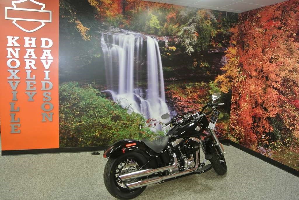 2006 Harley-Davidson SoftailÂ Deluxe