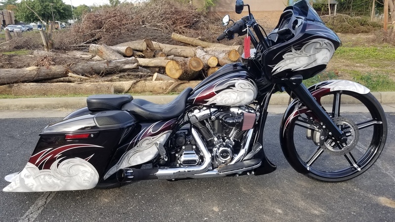 2010 Harley-Davidson Sportster 1200 Custom