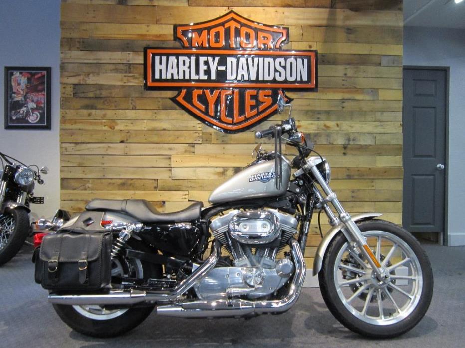 1995 Harley-Davidson BAD BOY