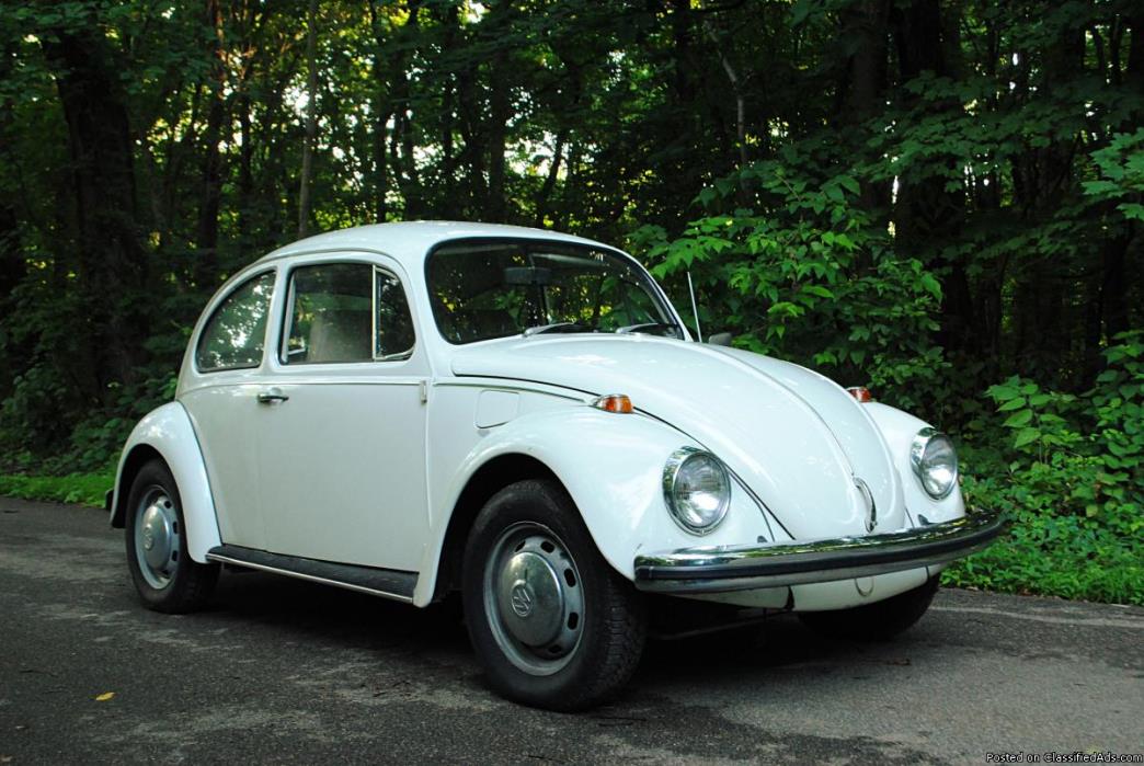 1969 VW Bug/Beetle